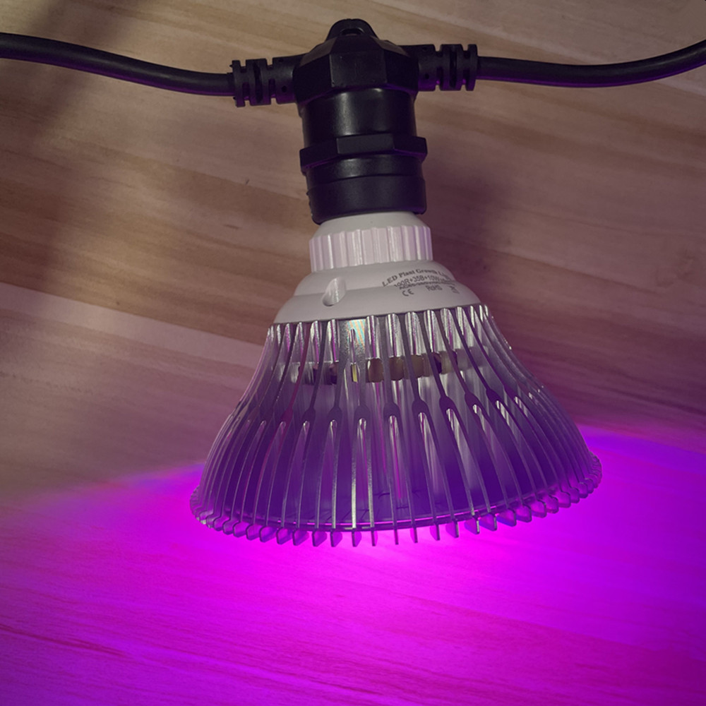 10M 케이블 LED 스트링 조명, 상업용 등급 방수, - String Light Outdoor 리뷰 및 가격